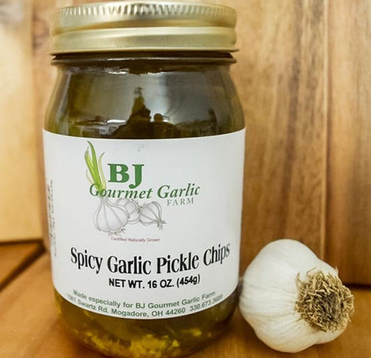 Spicy Garlic Pickle Chips